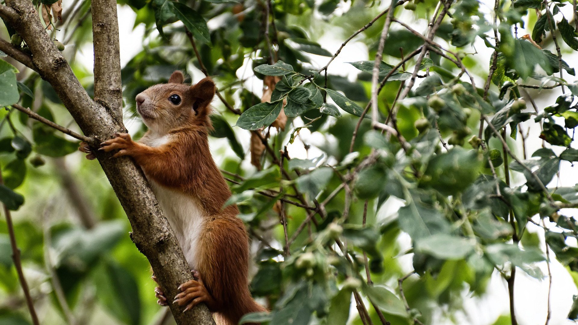 该项目选手换气节奏调整成效显著